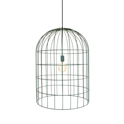 BIRD CAGE MEDIUM